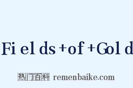 Fields+of+Gold是什么意思的图片